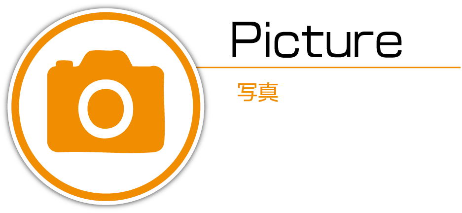 header_logo